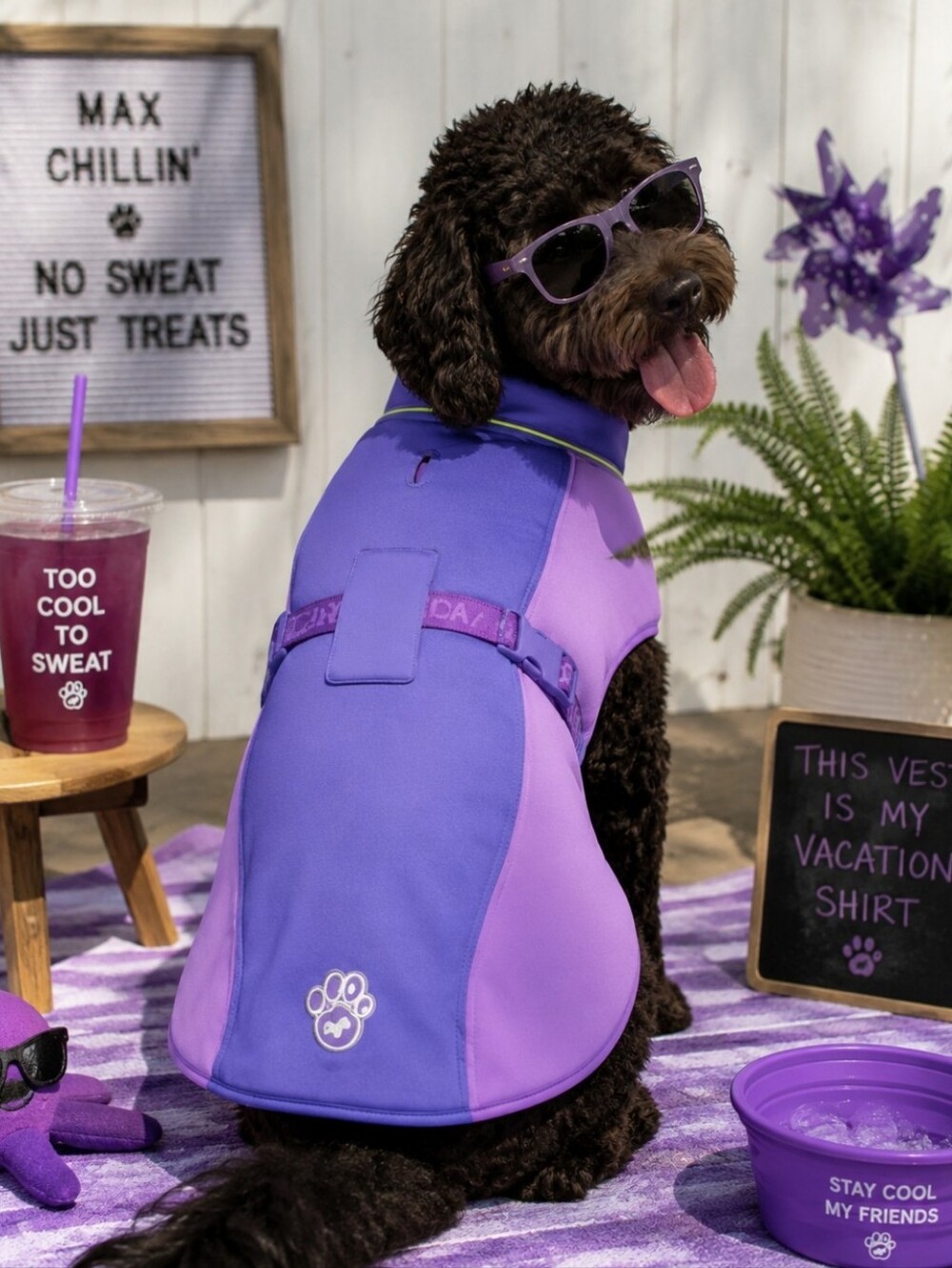 Canada Pooch Max Chill Cooling Vest Purple